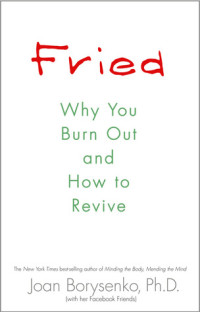 Joan Borysenko — Fried: Why You Burn Out and How to Revive