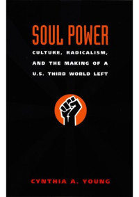 Cynthia A. Young — Soul Power: Culture, Radicalism and the Making of a U.S. Third World Left