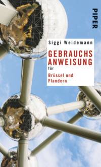 Siggi Weidemann — Gebrauchsanweisung für Brüssel und Flandern