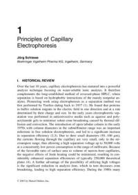 Neubert, Ruttinger — Affinity Capillary Electrophoresis in Pharmaceutics and Biopharmaceutics