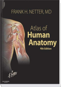 Frank H. Netter MD — Atlas of Human Anatomy 4e (Netter Basic Science)