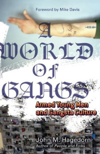 John M. Hagedorn — A World of Gangs: Armed Young Men and Gangsta Culture (Globalization and Community)