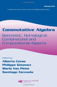 Alberto Corso, Philippe Gimenez, Maria Vaz Pinto, Santiago Zarzuela — Commutative Algebra: Geometric, Homological, Combinatorial, and Computational Aspects