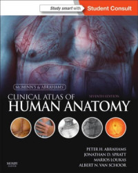 Peter H. Abrahams, Jonathan D. Spratt — Mcminns Clinical Atlas of Human Anatomy