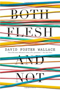David Foster Wallace — Both Flesh and Not: Essays