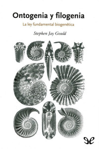Stephen Jay Gould — Ontogenia y filogenia