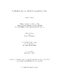 Mellodge P. — Feedback Control for a Path Following Robotic Car