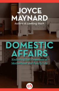 Maynard, Joyce — Domestic affairs : enduring the pleasures of motherhood and family life
