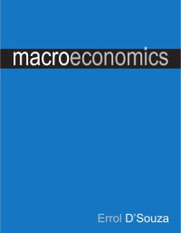 Errol D’Souza — Macroeconomics