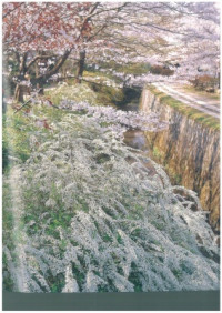  — Japanese gardening