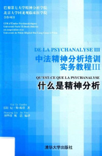 纪·勒-构菲 — 中法精神分析培训实务教程(III): 什么是精神分析
