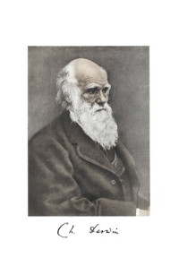 Дарвин Ч.(Darwin) — Происхождение видов путем естественного отбора