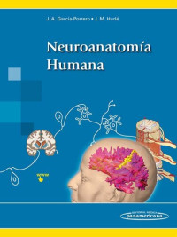 García-Porrero, J. A., Hurié, J. M.  — Neuroanatomía Humana 