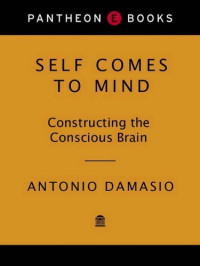 Antonio Damasio — Self Comes to Mind - Constructing the Conscious Brain (2010)