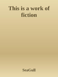 SeaGull — This is a work of fiction