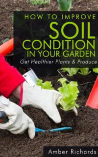 Amber Richards — How to Improve Soil Condition in Your Garden