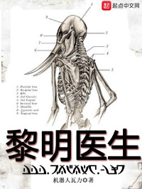 机器人瓦力 — 黎明医生（瘟疫医生）