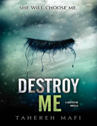 Taheret Mafi — Destroy me [Shatter Me § 1.5]