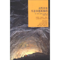 杰德·麦肯纳 — 灵性开悟不是你想的那样