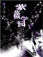 李林麒 — 紫薇学园Ⅰ：现代校园中的紫薇斗数