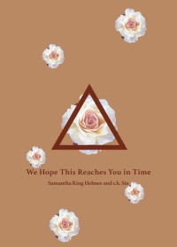 Samantha King Holmes, r. h. Sin — We Hope This Reaches You in Time