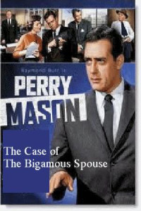 Erle Stanley Gardner — Case of the Bigamous Spouse