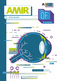 Iceberg Visual — Manual AMIR / Oftalmología / 14.ª Edición
