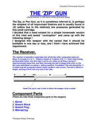 Public Library User — Microsoft Word - The Zip Gun.doc