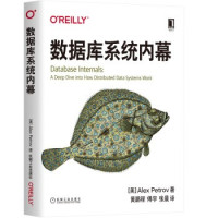 美] 亚历克斯·彼得罗夫（Alex Petrov）翻译:黄鹏程 / 傅宇 / 张晨 — 数据库系统内幕