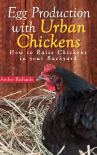 Amber Richards — Egg Production With Urban Chickens: How to Raise Chickens in Your Backyard