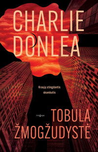 Charlie Donlea — Tobula žmogžudystė