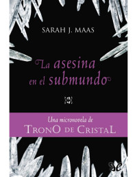 Sarah J. Maas — La asesina en el submundo