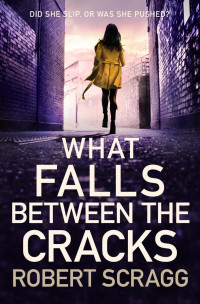 Robert Scragg — What Falls Between the Cracks
