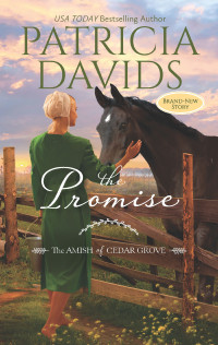Patricia Davids — The Promise