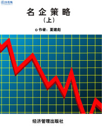 夏建彪 — 名企策略(上)