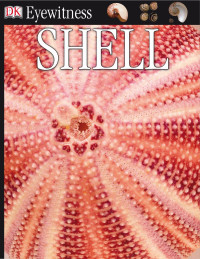 Alex Arthur — Shell