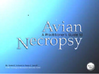 Robert E. Schmidt, Drury R. Reavill — A Practitioner's Guide to Avian Necropsy, CD ROM
