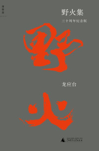 龙应台 — 野火集：三十周年纪念版
