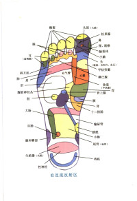 宋一同主编 — 足部推拿按摩