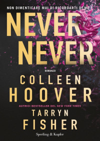 Colleen Hoover, Tarryn Fisher & Fisher Tarryn — Never never
