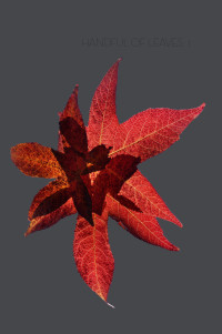 Thanissaro Bhikkhu — Handful of Leaves volume one: An anthology from the Dīgha Nikāya