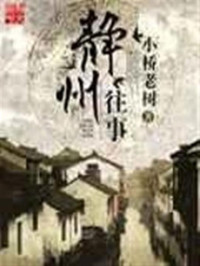Unknown — 静州往事