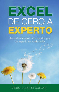 Diego Burgos Cuevas [Diego Burgos Cuevas] — Excel de cero a experto