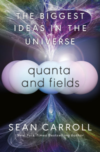Sean Carroll — Quanta and Fields - The Biggest Ideas in the Universe (2024)