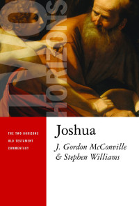 J. Gordon McConville, Stephen N. Williams — Joshua