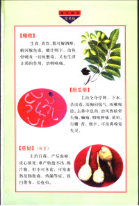 偏方秘方 — 实用偏方秘方经典 常见病