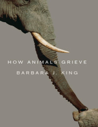 Barbara J. King — How Animals Grieve