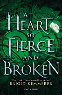 Brigid Kemmerer — A Heart So Fierce and Broken (Cursebreakers 2)