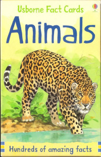 Usborne [Usborne] — Activity Cards - Animals