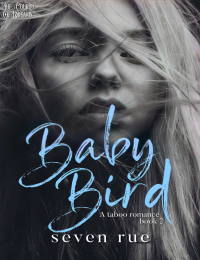 The Court Of Dreams — Baby Bird - Seven Rue